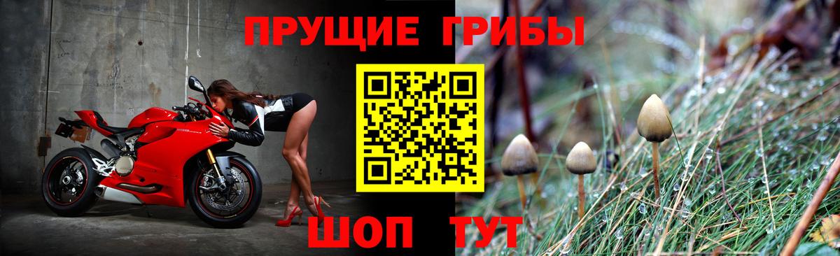 Магадан  Псилоцибиновые грибы Psilocybine cubensis  Вход с VPN 